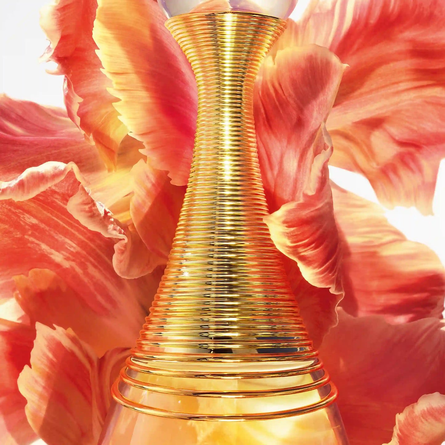 Dior J'adore Eau De Parfum Infinissime