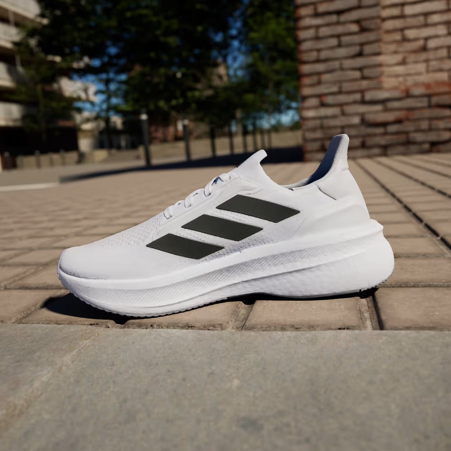 Adidas UltraBoost 5X Men's Shoes